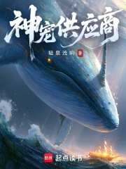 神宠供应商