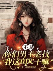 不是你们男主老找我这NPC干嘛